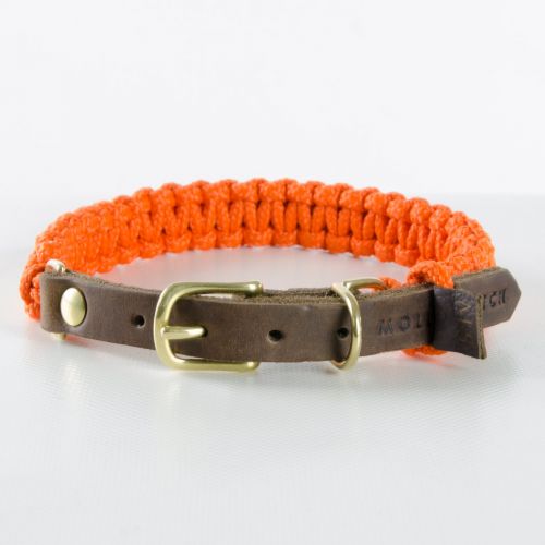 Molly and Stitch, Hundehalsband 'touch of leather', Farbe orange, 6 Größen