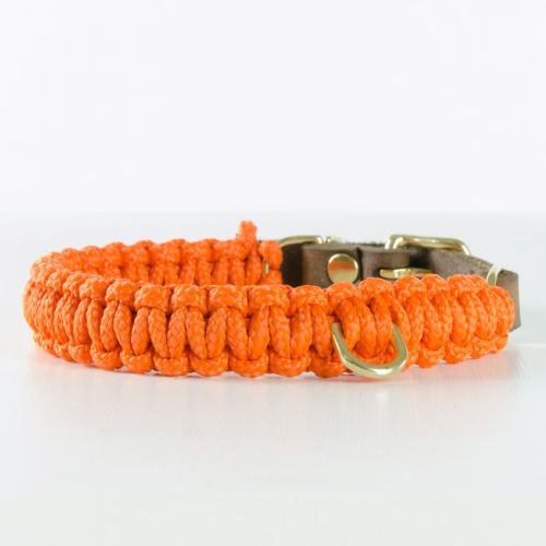 Molly and Stitch, Hundehalsband 'touch of leather', Farbe orange, 6 Größen